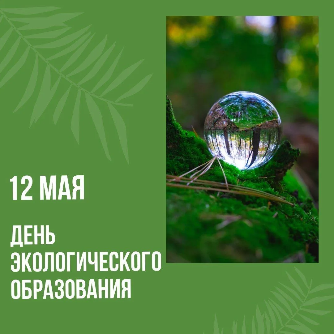 🙌   Сегодня 12 мая, а значит День экологического образования. Отличный повод спросить себя: а я вооб
