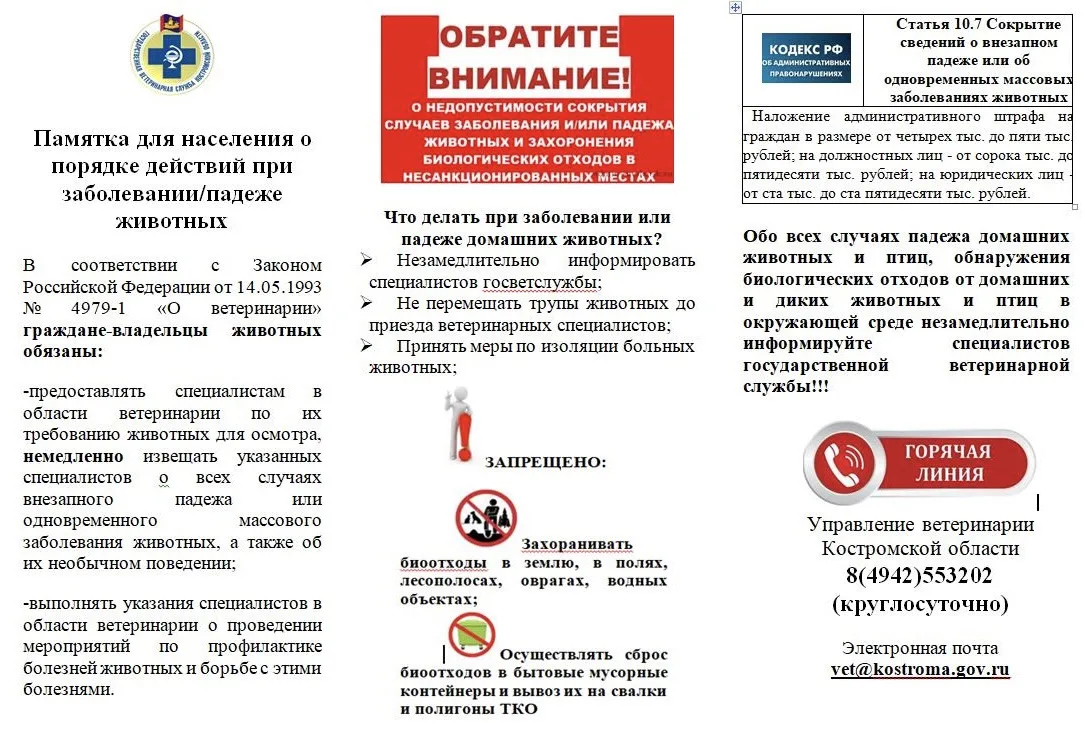ВЕТЕРИНАРНАЯ СЛУЖБА ПРЕДУПРЕЖДАЕТ