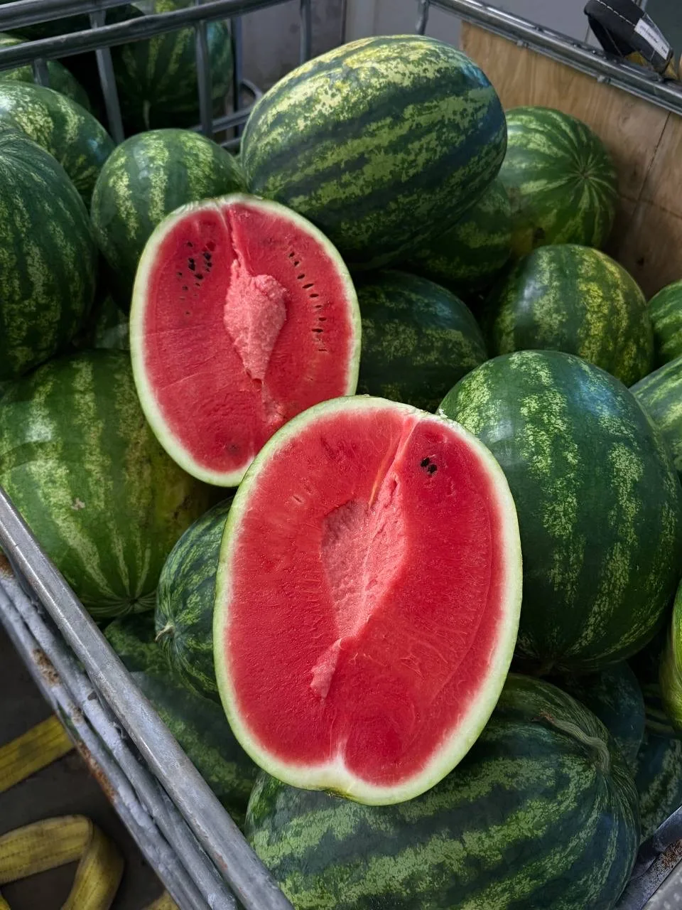 🍉 Арбузы грунтовые прямо с поля! 🍉