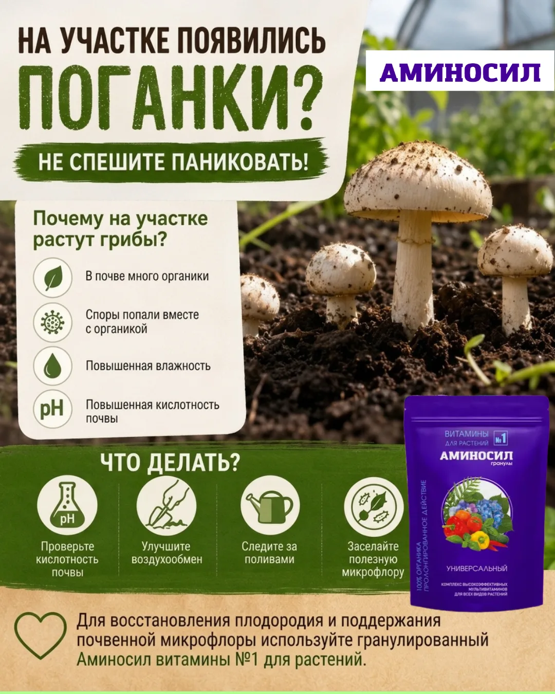 🍄 На участке появились поганки? Не спешите паниковать!

Многие садоводы воспринимают появление гриб