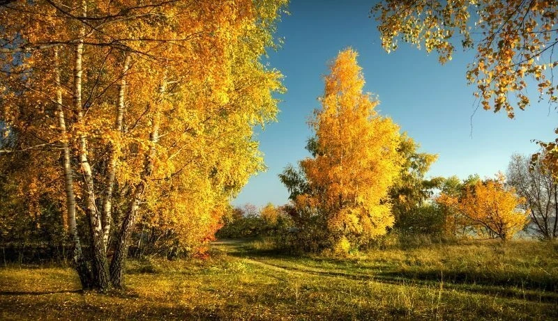 ⛅По данным Гидрометцентра России 9 сентября на территории Ивановской области ожидается ...
