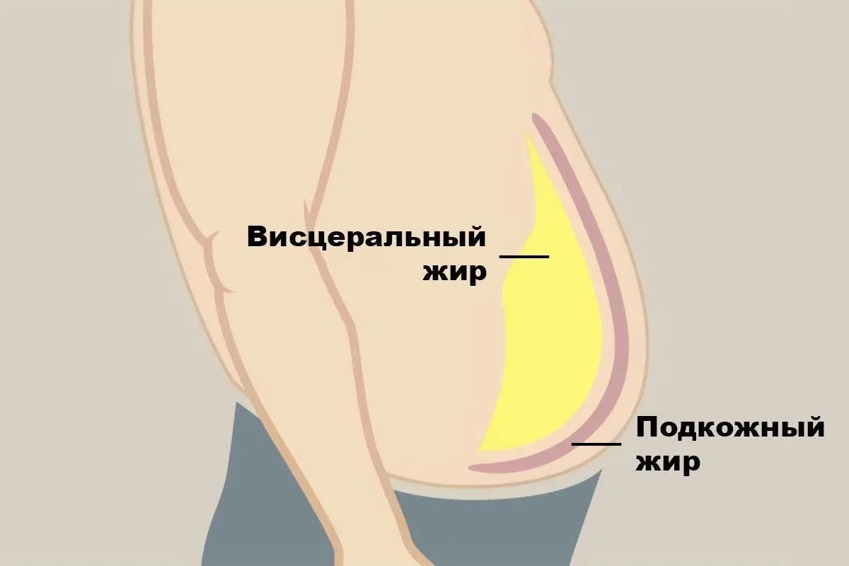 Тот жир, который вас убивает, не виден в зеркале — проверьте свою талию