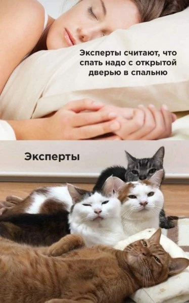 Прислушайтесь 🤩