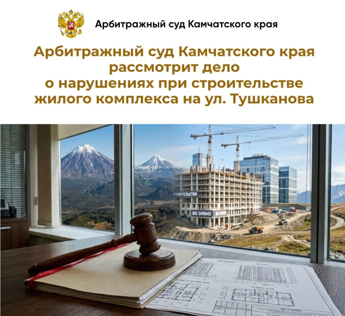 Инспекция государственного строительного надзора Камчатского края направила в Арбитражн...