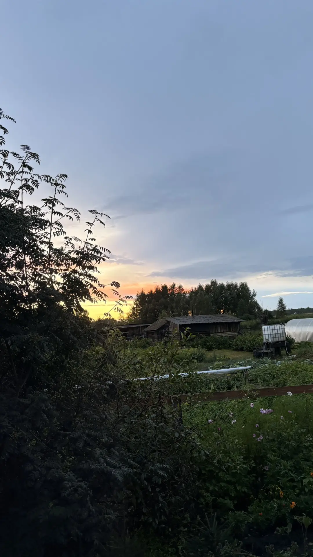 Доброе утро 🤗