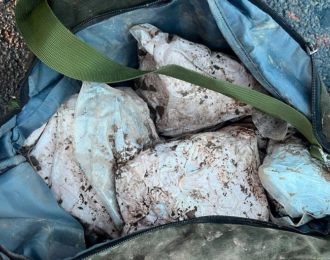 В Орле осудили сбытчика из наркогруппы

Орловец получил 8 лет колонии строгого режима за покушение н