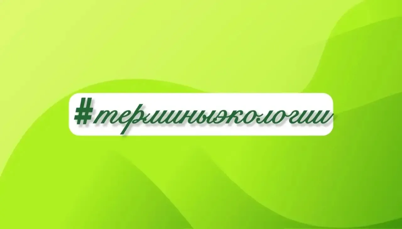 Доброе утро! Вас приветствует рубрика #терминыэкологии  🌿 Криптофит - это многолетнее травянистое ра