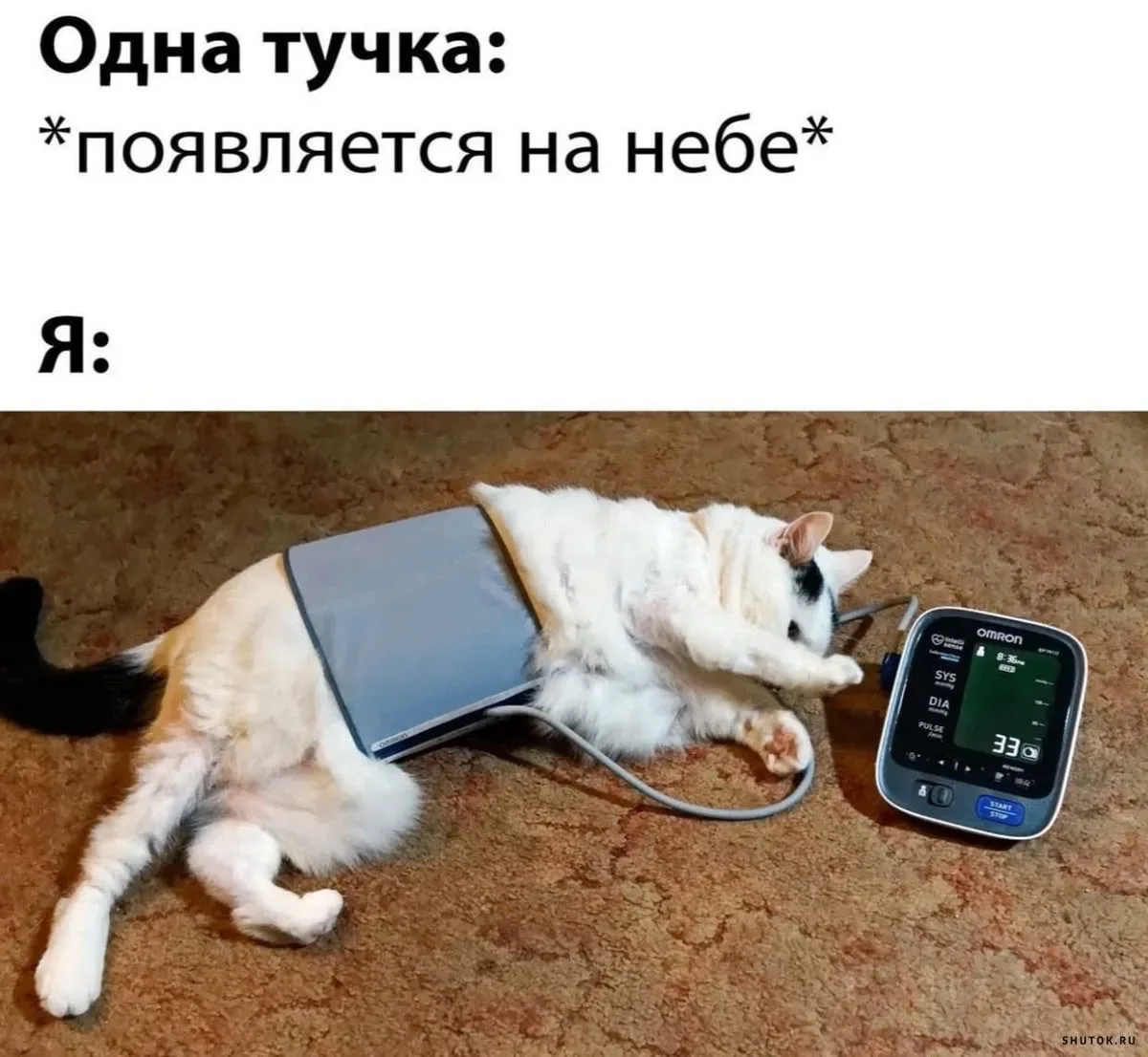 Сердечно поздравляем врачей-кардиологов с их профессиональным праздником!

Ваш труд — это спасенные 
