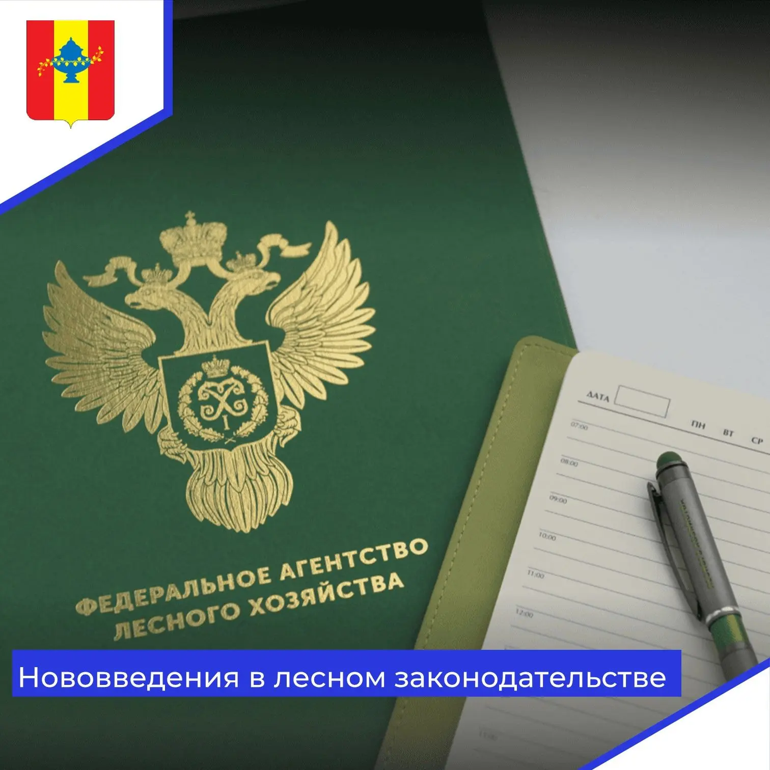 В российском лесном законодательстве начинается очередной этап системных изменений. Нов...