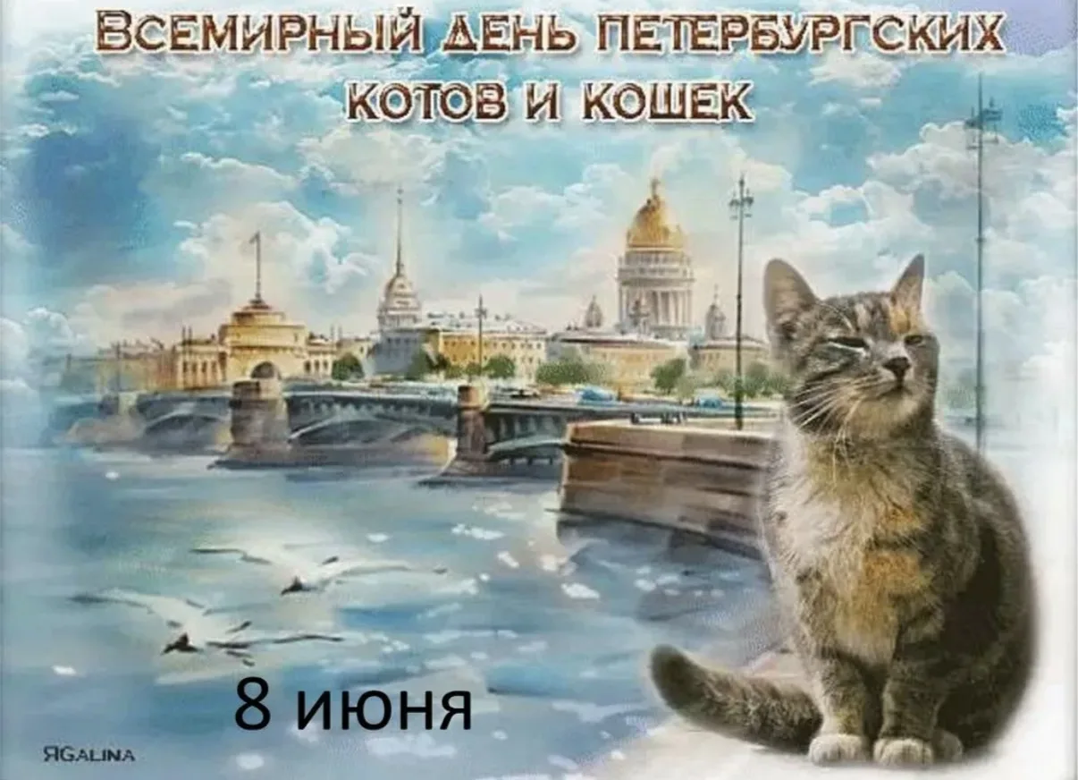 День в детском саду посвящённый петербургским котам и кошкам! Играем, рисуем, делаем закладки для лю
