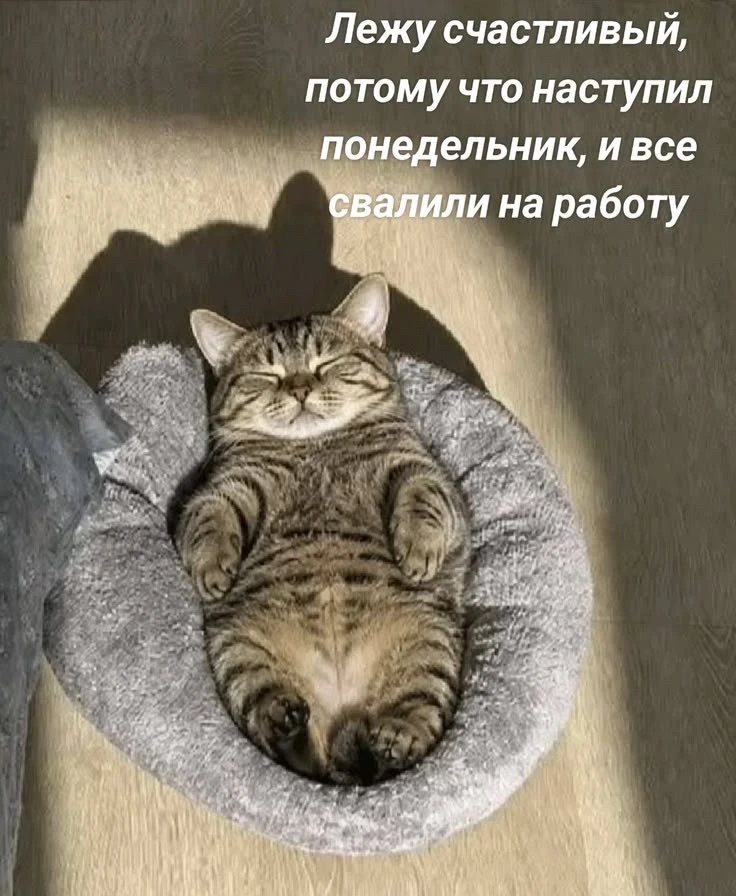 А еще в школу и сады после капризов и утренних истерик.