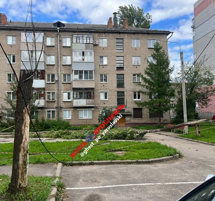 Крепко сегодня «ветерок» качает: