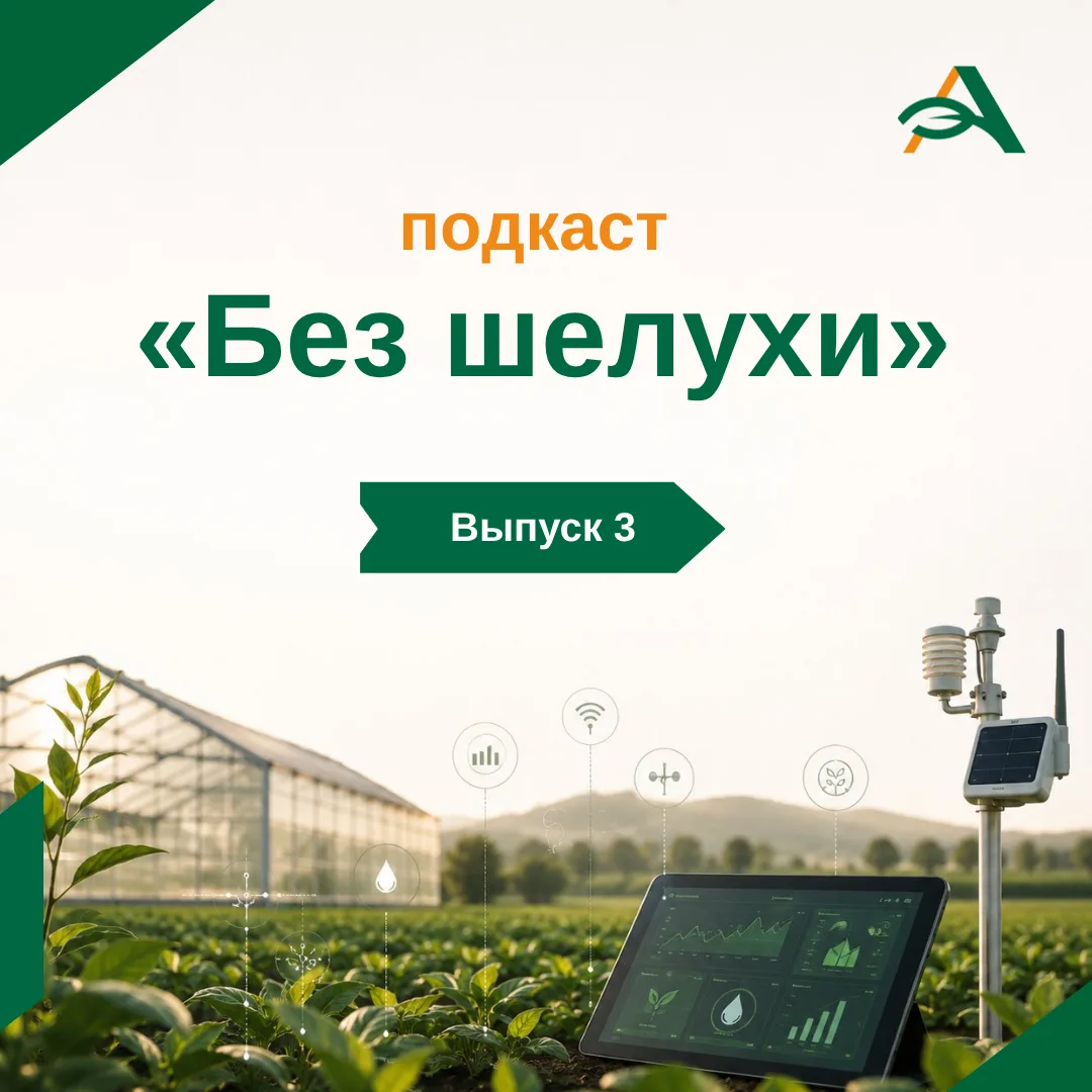 🤖 Как искусственный интеллект меняет сельское хозяйство Китая?