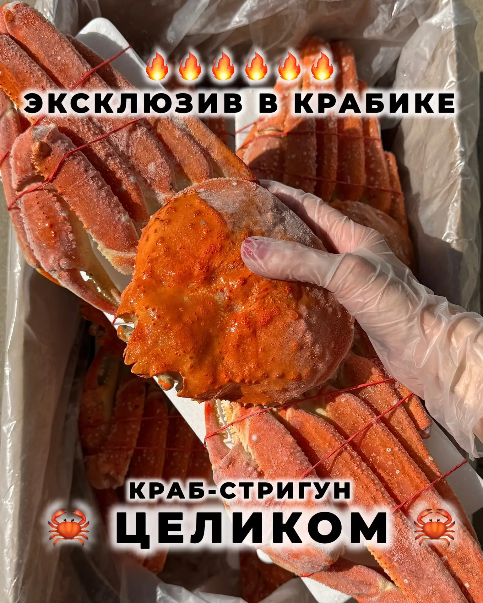 🦀 ВПЕРВЫЕ В КРАСНОДАРЕ