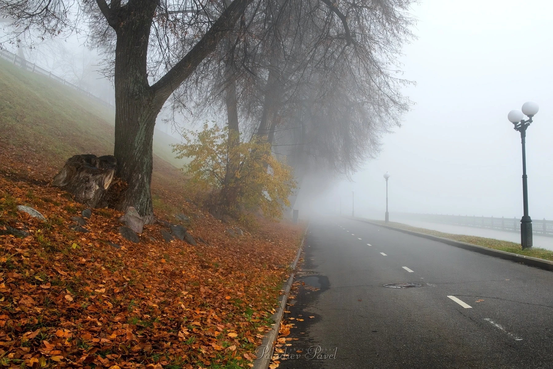 🍂 Жители Ярославля сообщают: