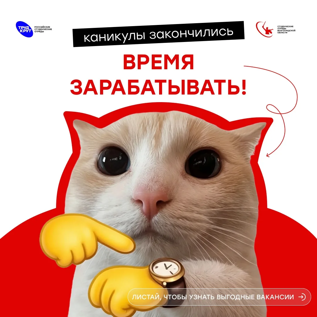 Хочешь совмещать работу с учёбой в Волгограде?🔥