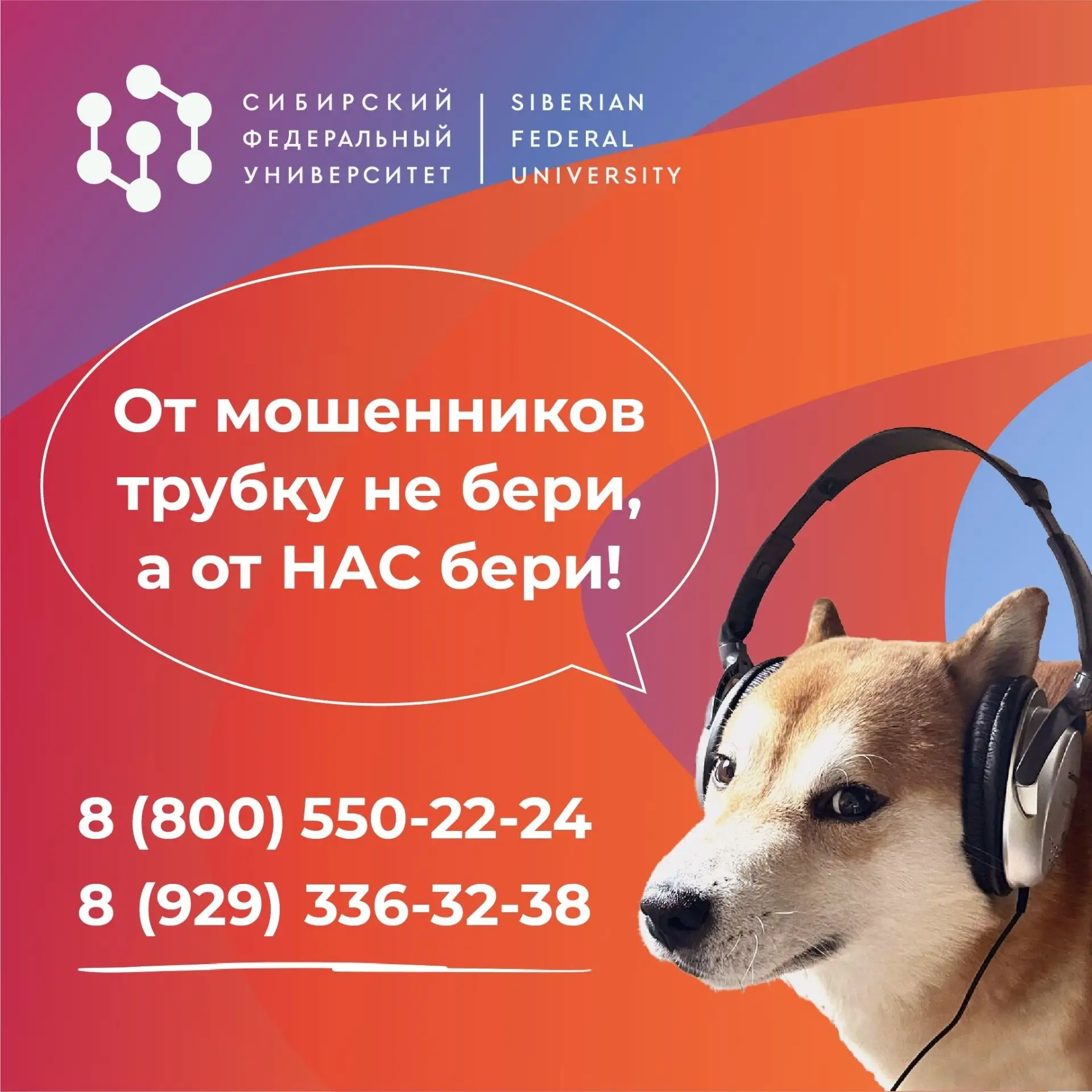 2️⃣ дня до старта приёмной кампании. А эти 2️⃣ номера должны обязательно появиться в твоих контактах