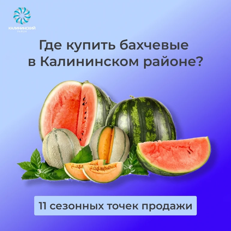 С 1 августа в Калининском районе начинается сезонная продажа арбузов и дынь
Ежегодно с 1 августа по 