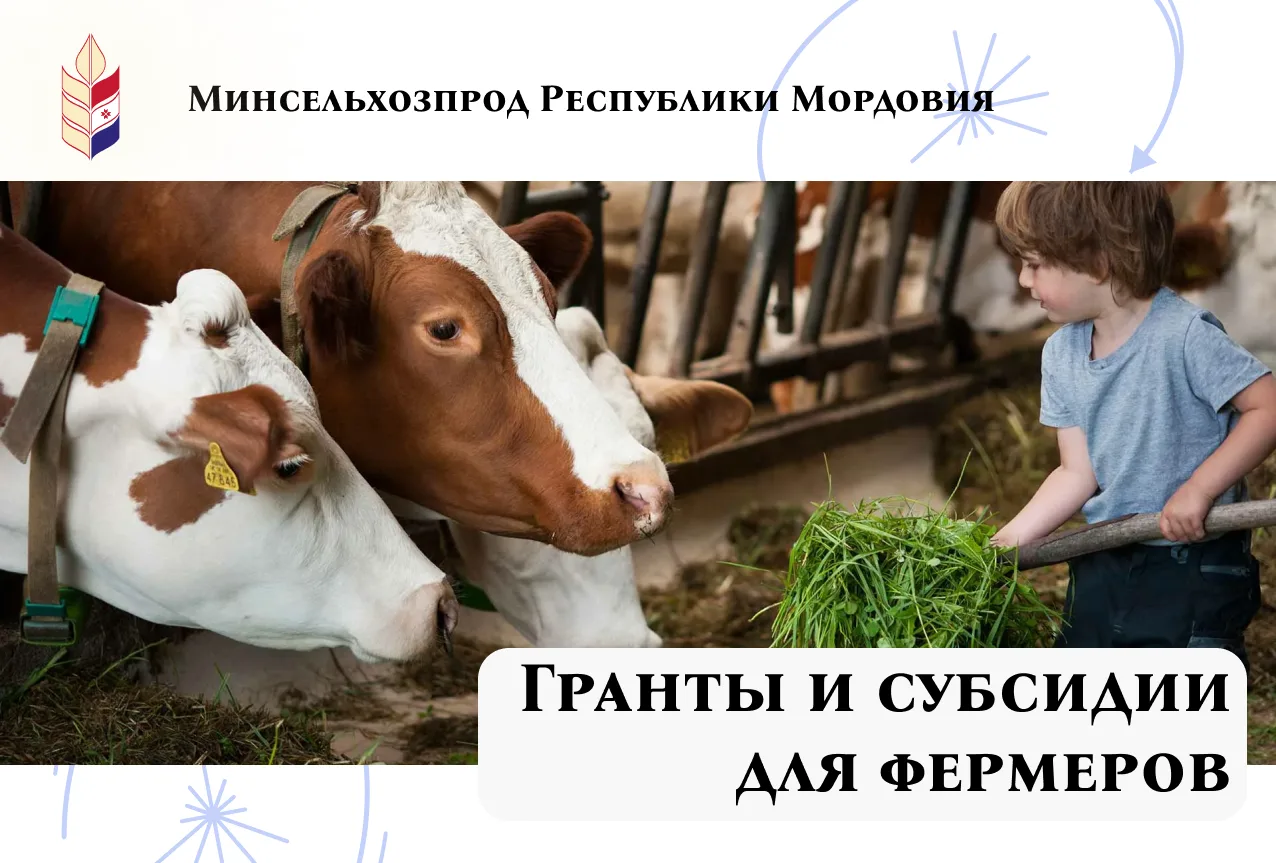 🚜 Мордовия поддерживает фермеров: стартует прием заявок на гранты и субсидии!

Министерство сельско