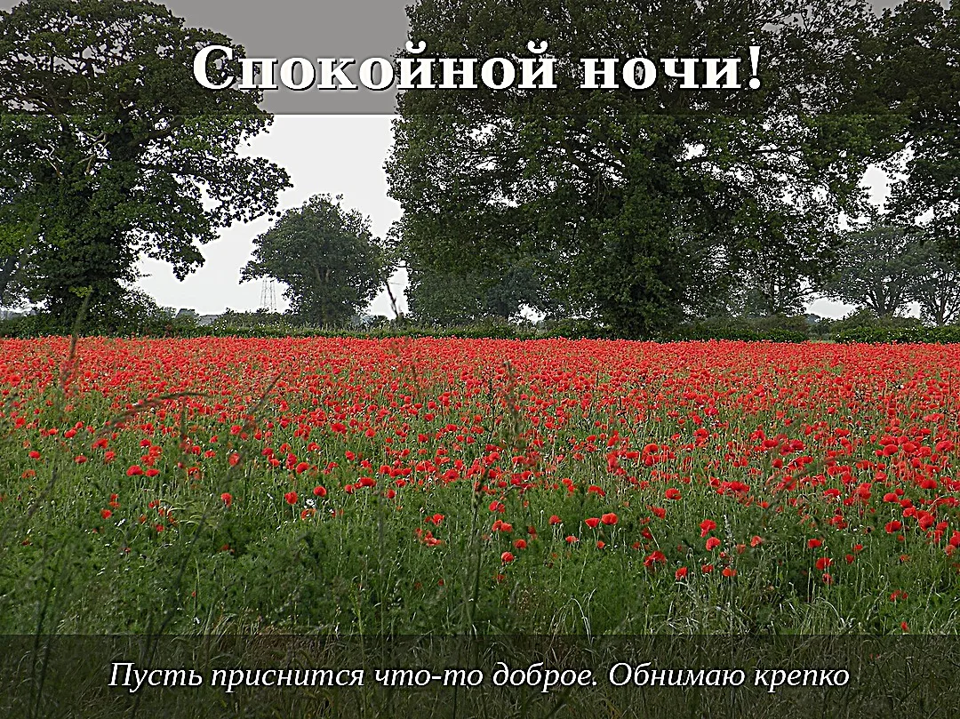 Пусть все дела сегодня решаются легко и быстро

SHAPO media · наши каналы