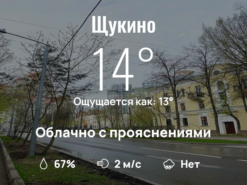 Что с погодой в Щукино?