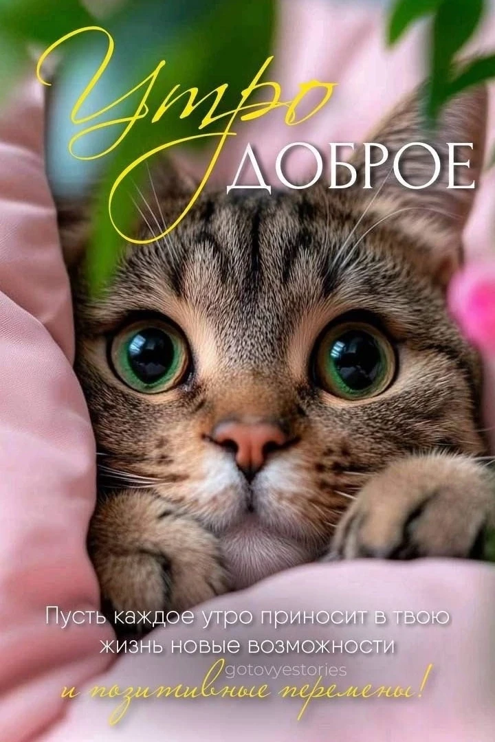 Утро доброе!