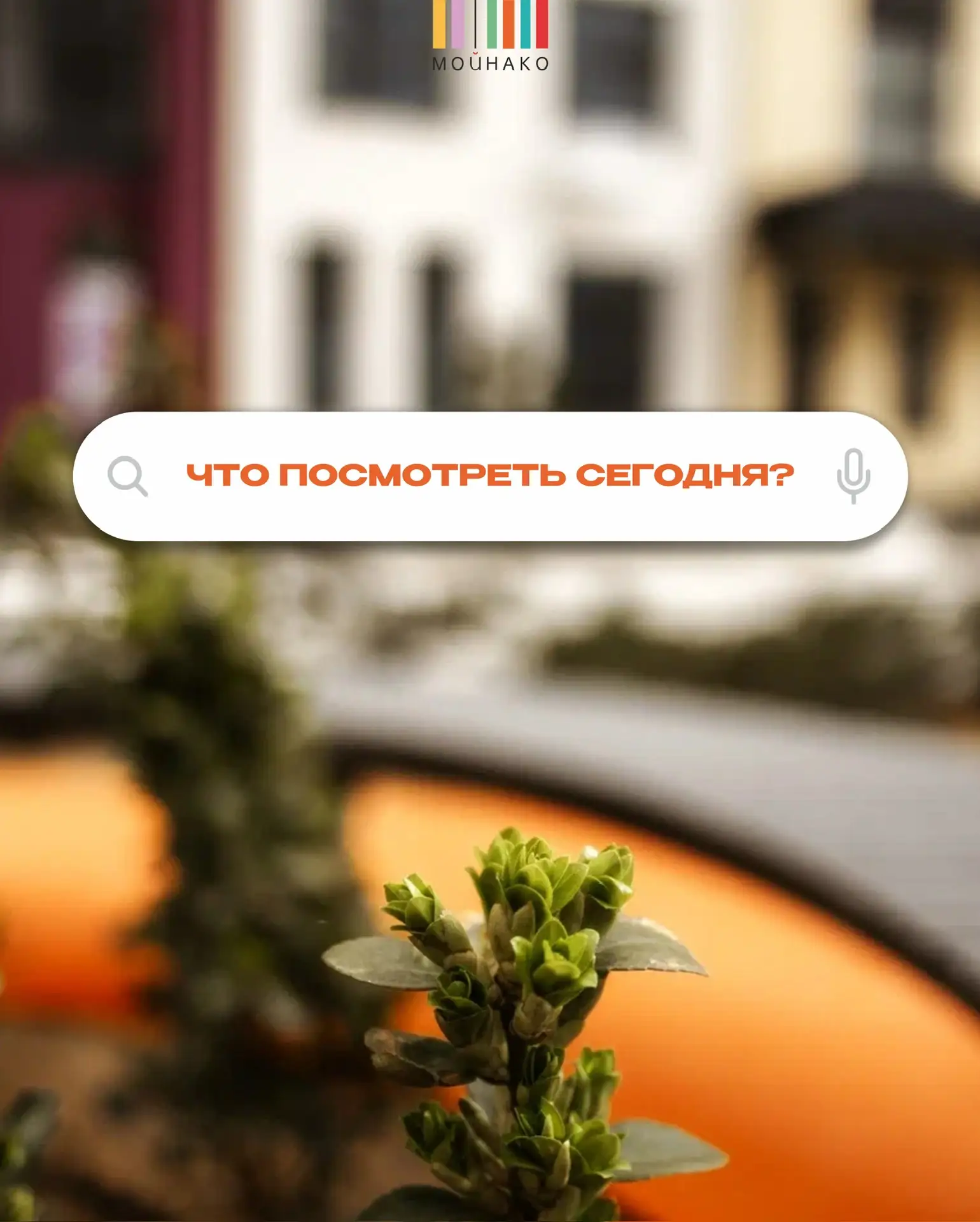 Сегодня в эфире — «Мойнако» 🎬