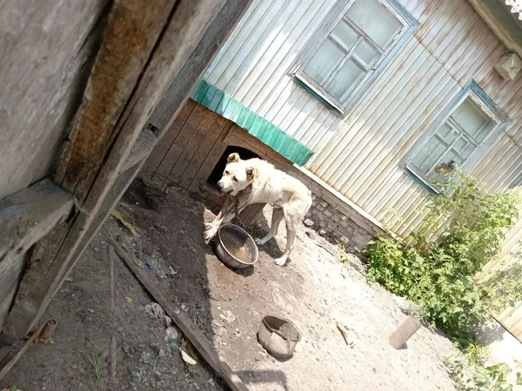 Друзья, не