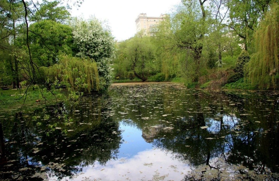 🌳 Уголок тишины среди городского ритма

Екатерининский парк остаётся одним из самых уютных мест ряд