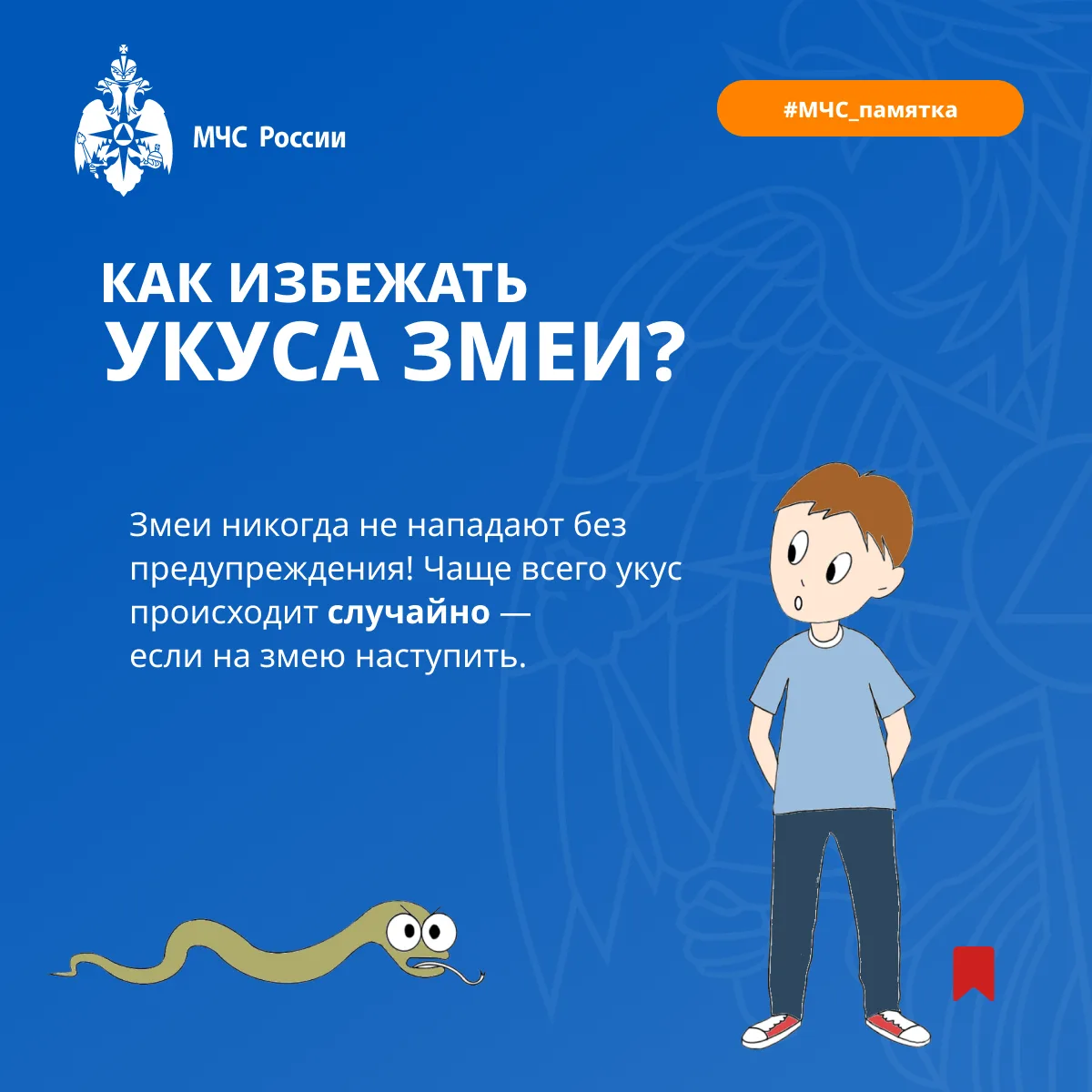 🐍 Встреча со змеёй: как обезопасить себя