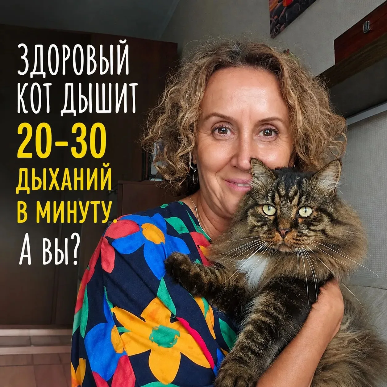 Вижу ваши комментарии,  запросы понятны. Предлагаю такую программу на марафон: