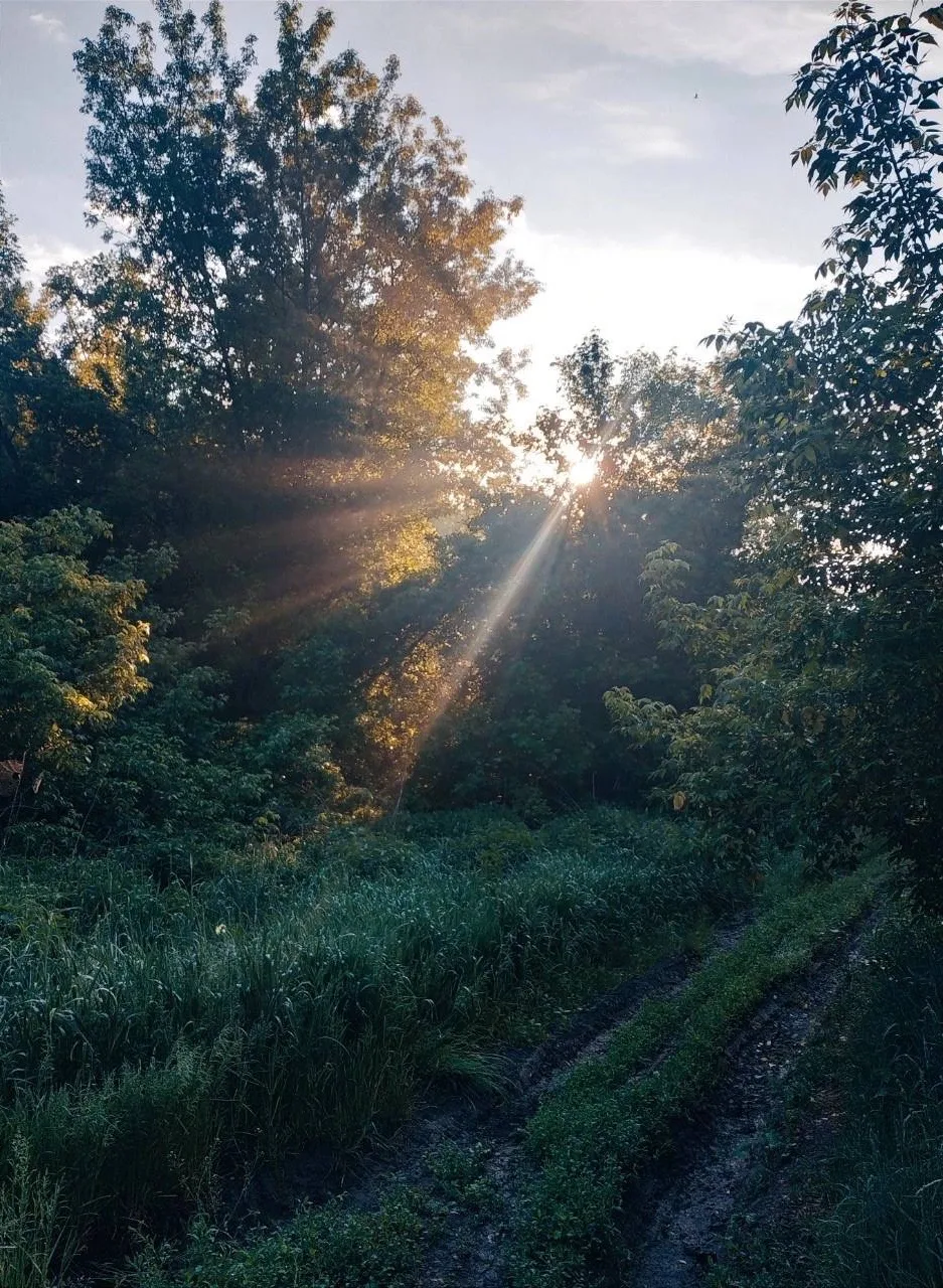 Хорошего дня. ☀️