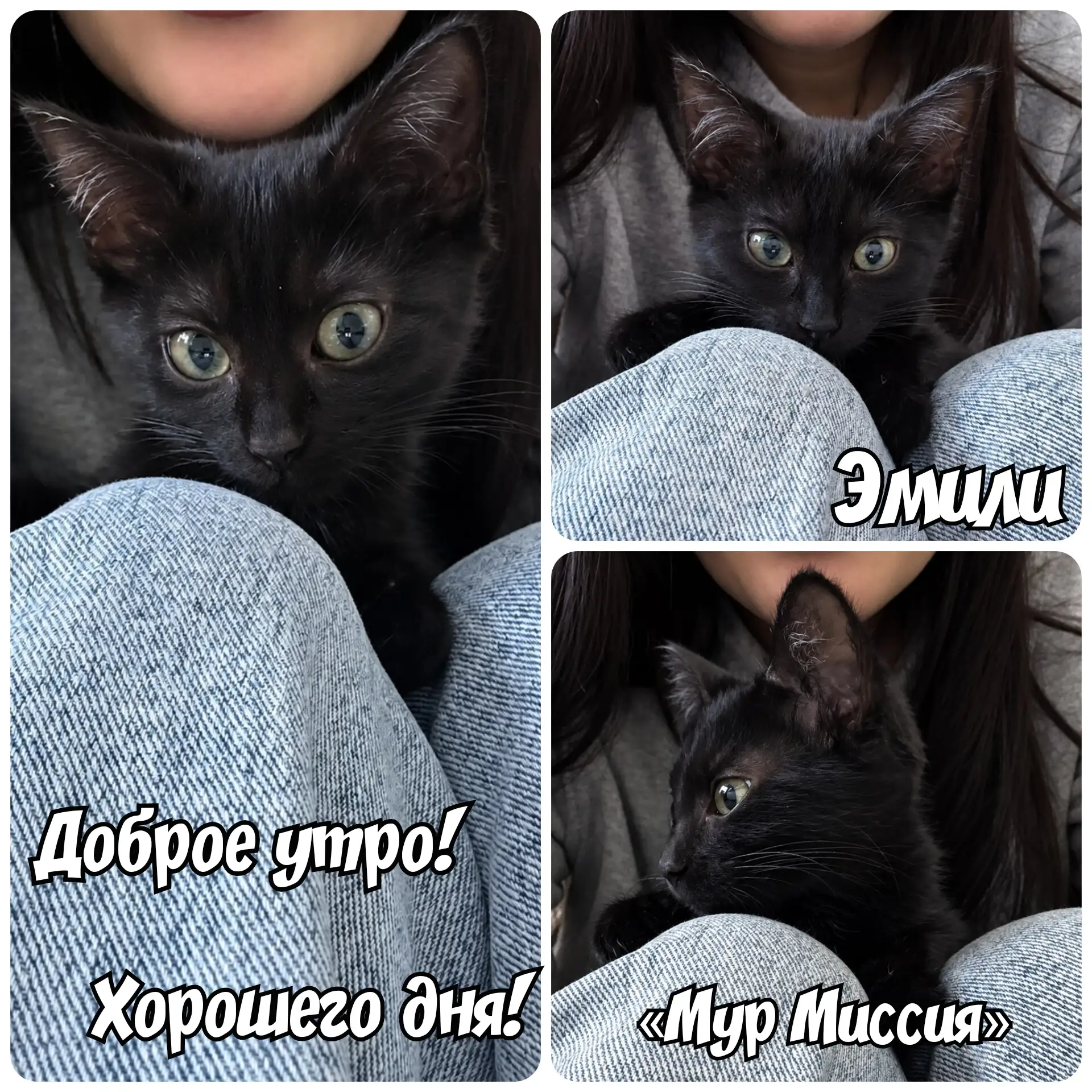 Доброе утро! 🌄