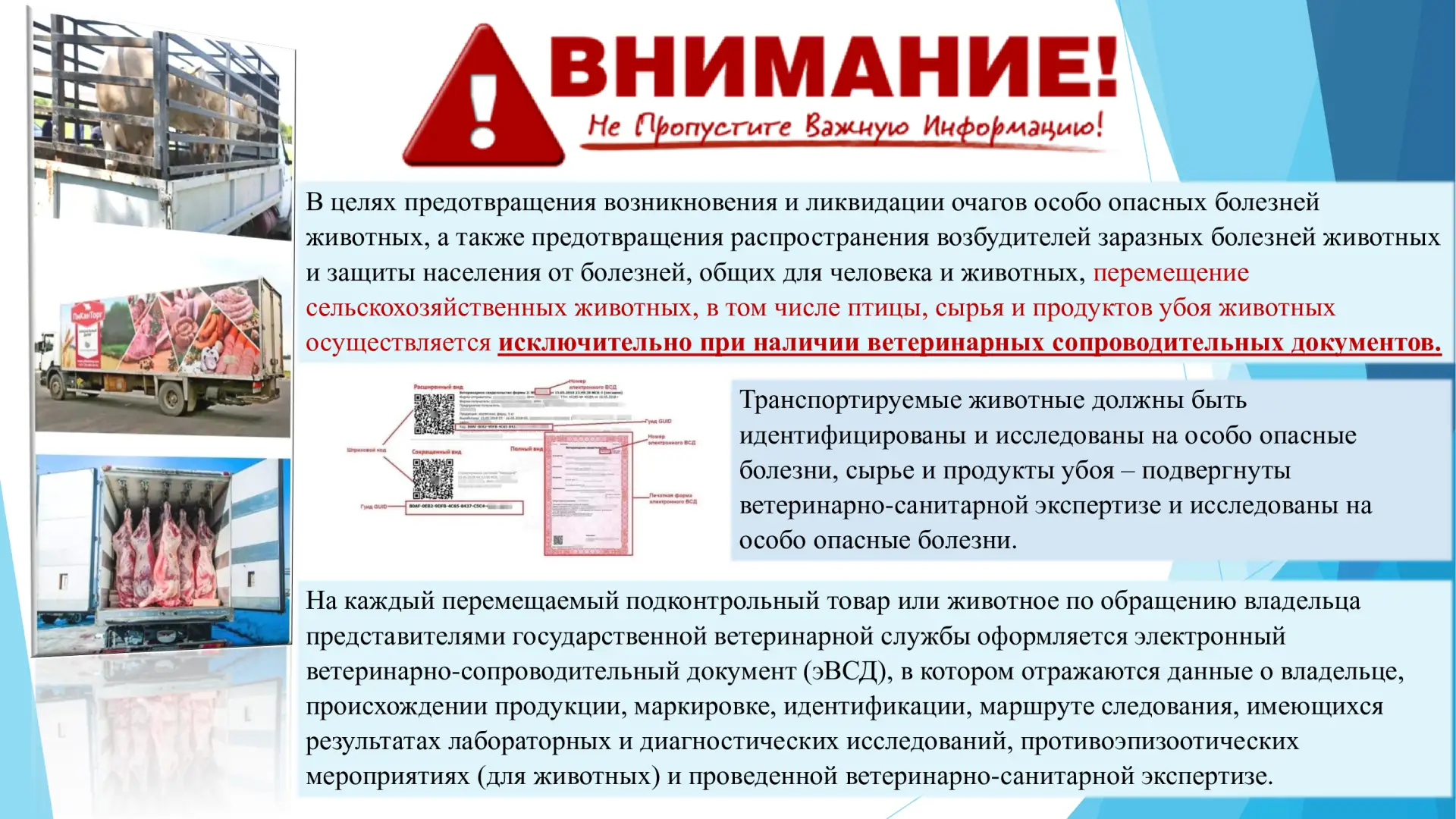 ❗ВАЖНО❗Перемещение сельскохозяйственных животных, в том числе птицы, сырья и продуктов ...
