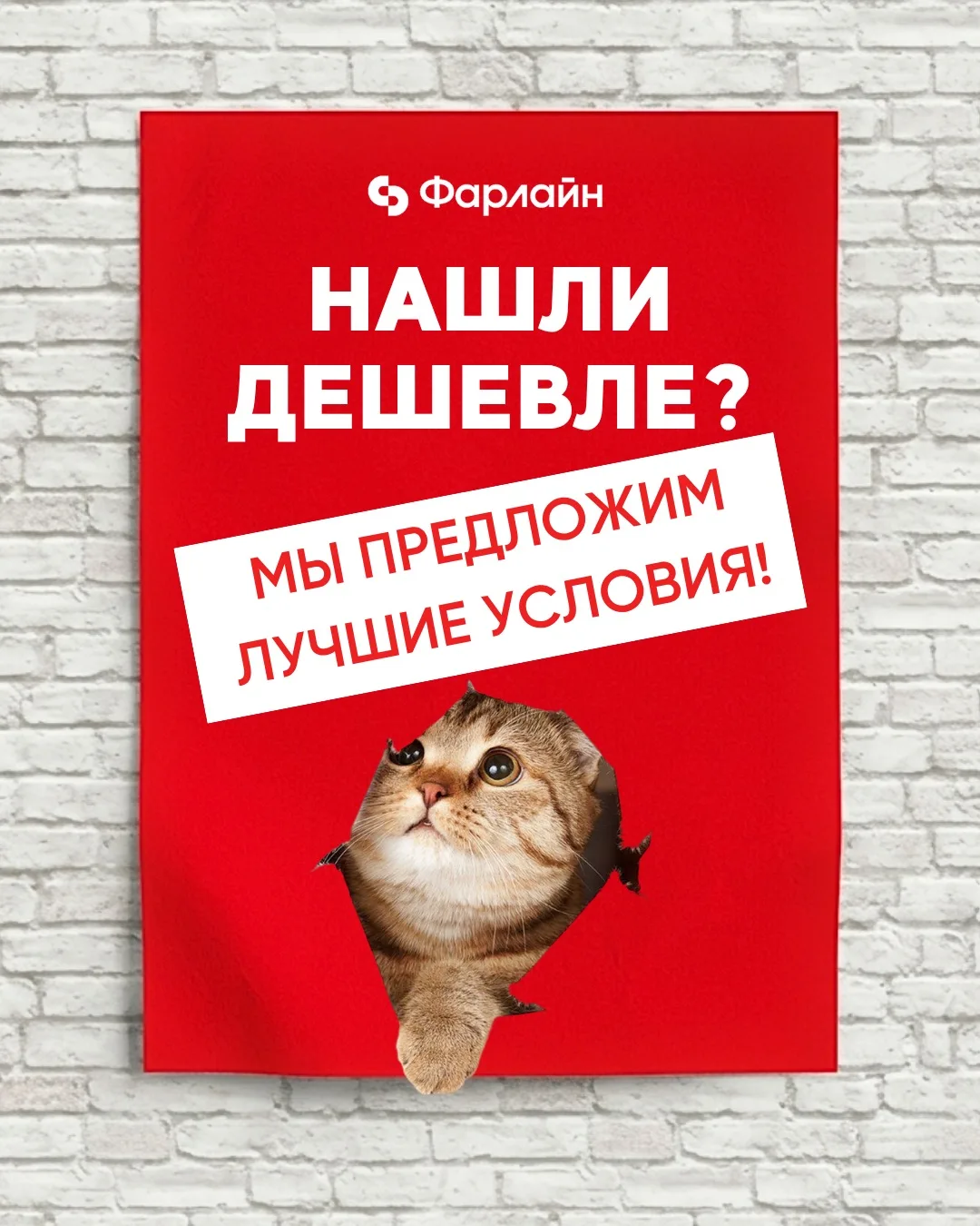 Зачем переплачивать за интернет? 💸