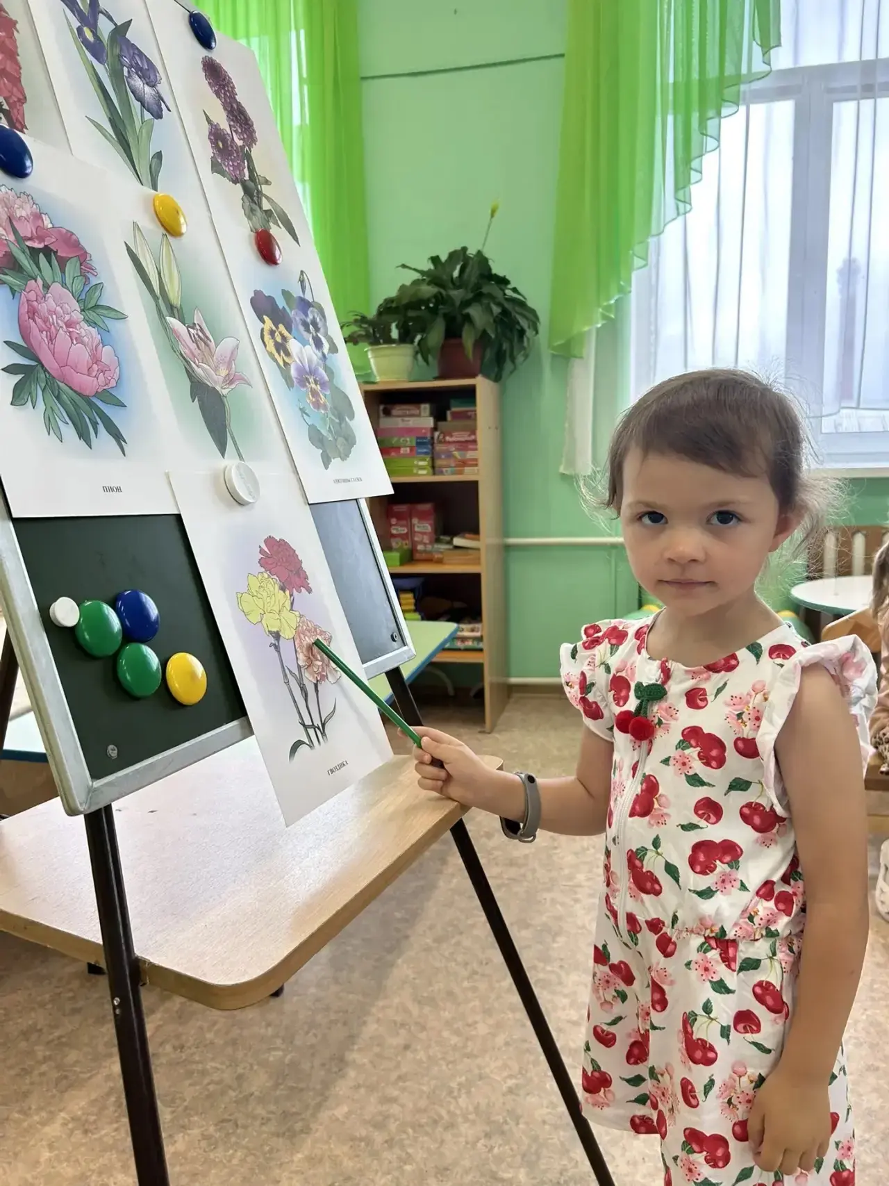 🌷🪴 Цветы и травы 🪴 🌷