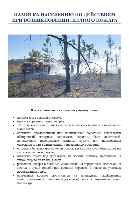❗ПАМЯТКА НАСЕЛЕНИЮ ПО ДЕЙСТВИЯМ ПРИ ВОЗНИКНОВЕНИИ ЛЕСНОГО ПОЖАРА
