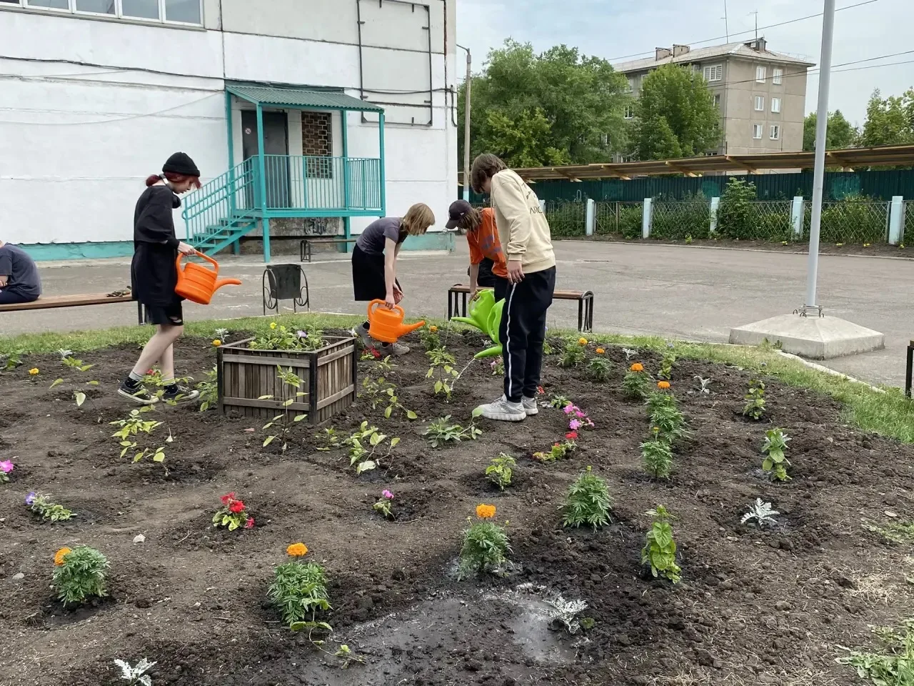 Озеленение — это постоянный процесс, в который вовлечены наши ученики.
На прошлой неделе ребята друж
