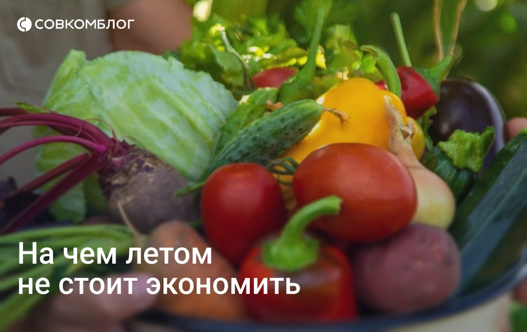 Есть траты, которые летом становятся особенно приятными.