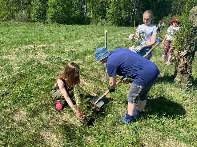 Акция «Деревья вместо шаров»♻️ ☘️В Ярославской области стартовала экологическая акция, которая меняе
