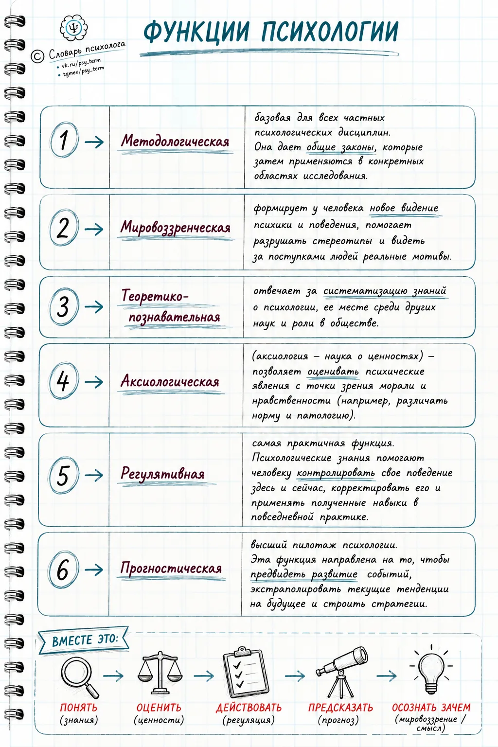 #таблицы_term, #p_term