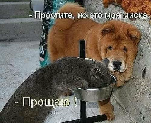 Улыбаемся, хорошим настроением заряжаемся!  😊