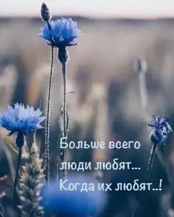 🫶Неслучайные случайности!🫶