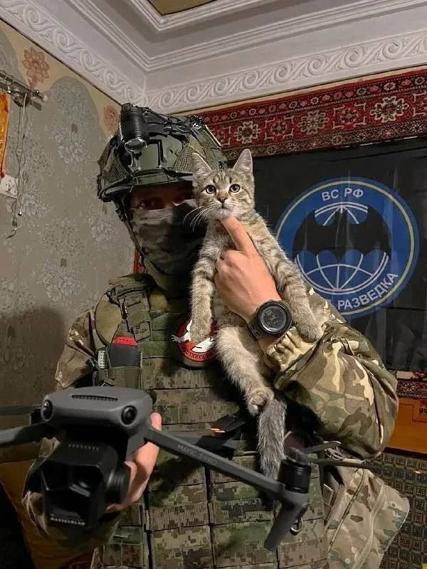 300 рублей — это 2 метра маскировочной сети.