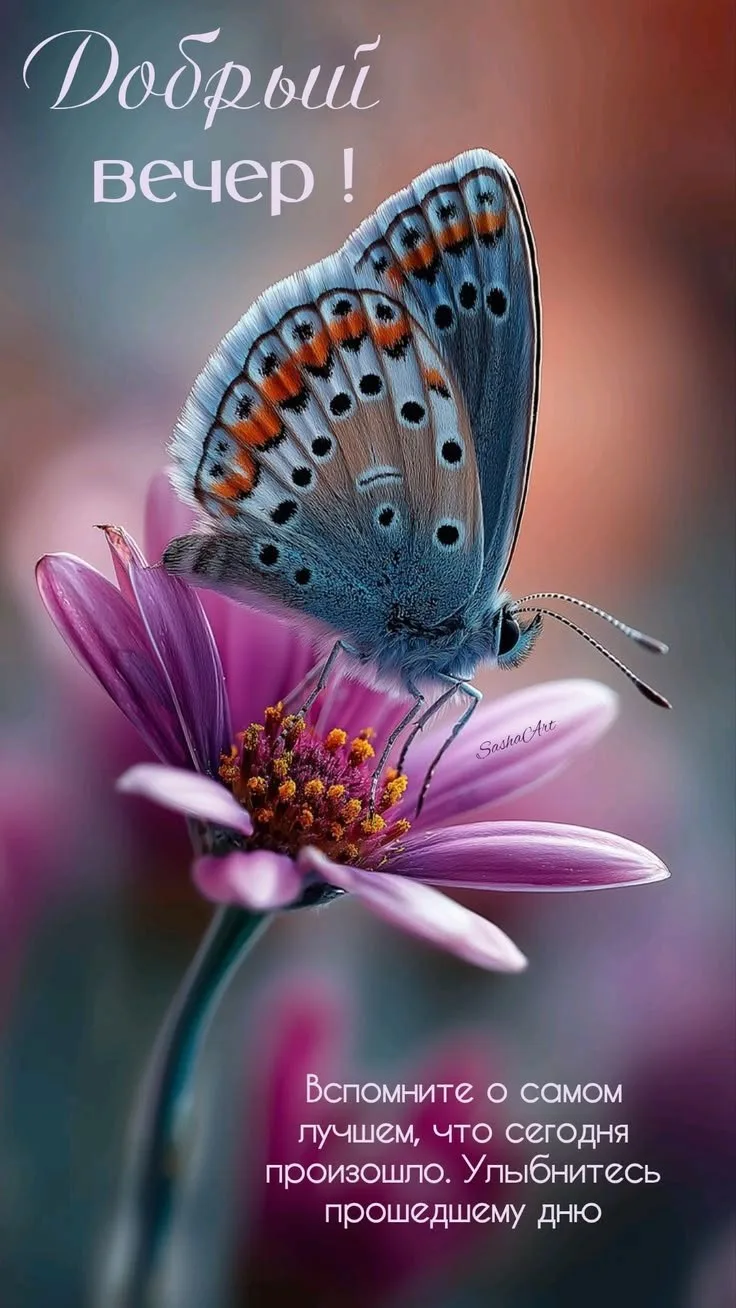 Открытки любимым 🌸🥰