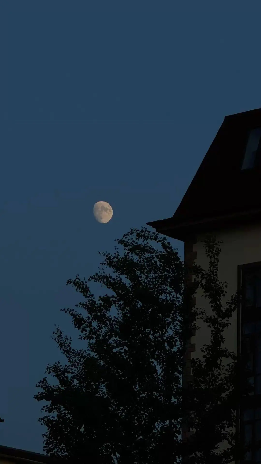Луна и ночь усиливают чувства, потому что снижается визуальный шум 🌕

Мозг переключается на внутрен