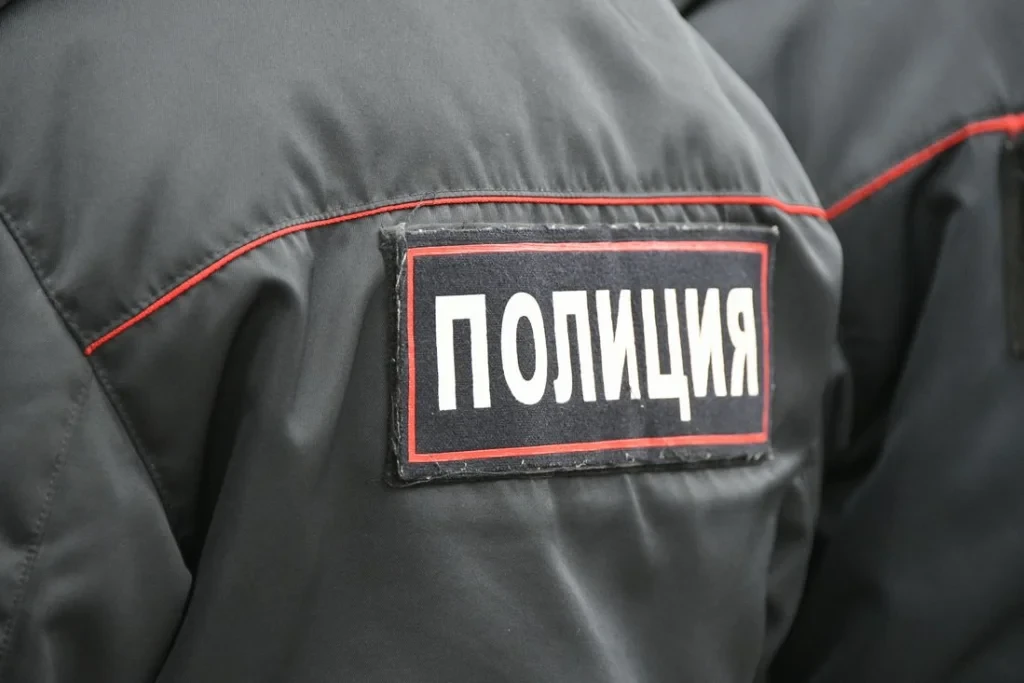 В Новомосковске мужчина подкараулил женщину у подъезда и силой отобрал у неё сумку с де...
