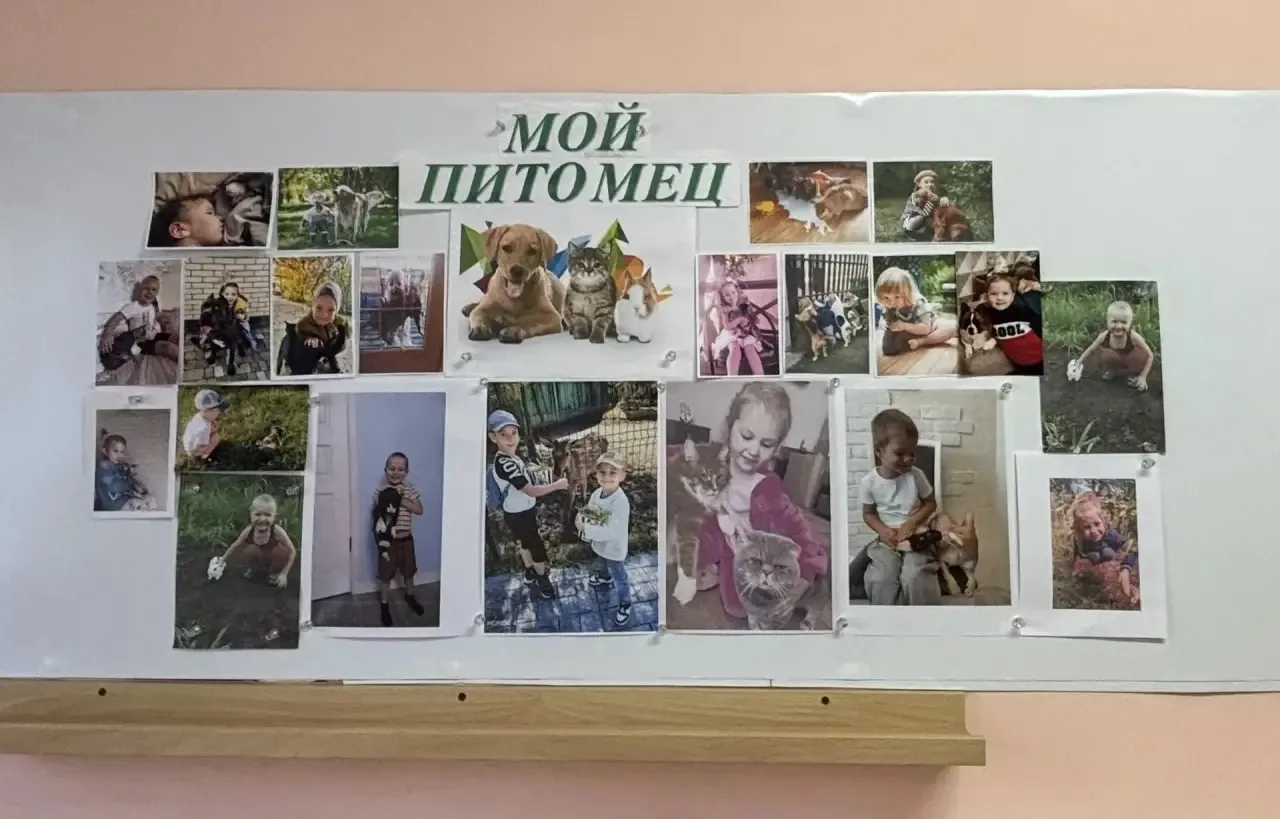 🐾 «Мой любимый питомец»: фотовыставка в группе «Теремок» (группа № 13)!🐾

В нашей группе «Теремок»