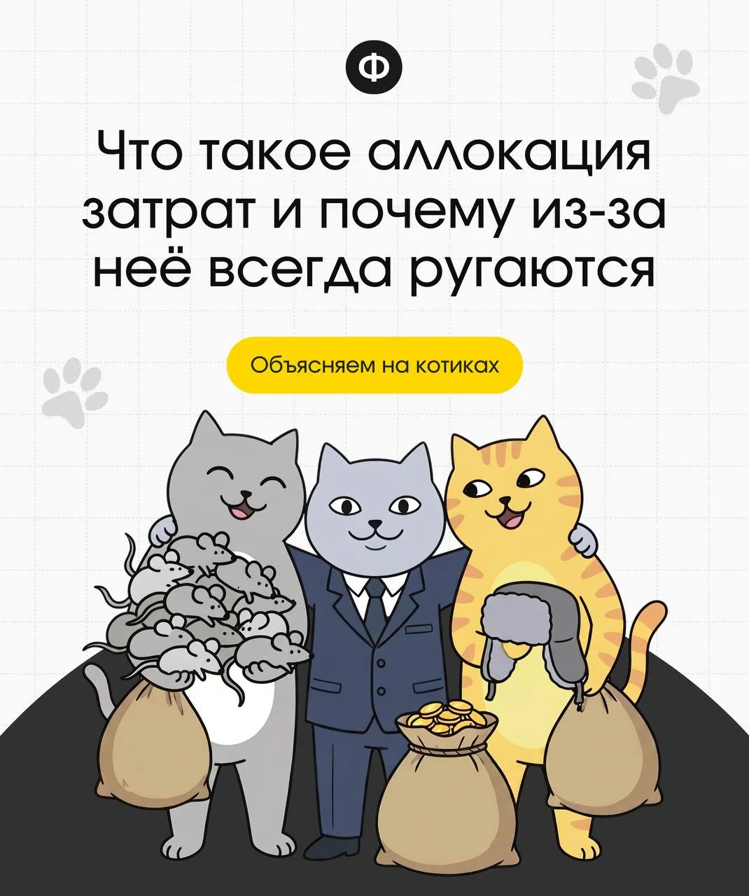 Продолжаем рубрику «Объясняем на котиках»! 👀