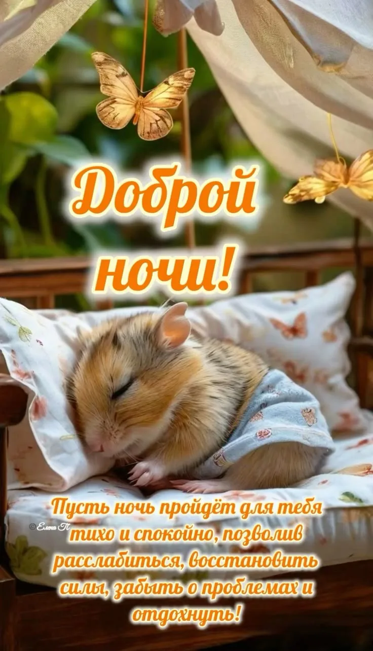 Доброй ночи! Прекрасных и сладких снов! ✨🌙
